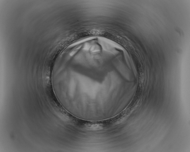 X0000113340553200910061000