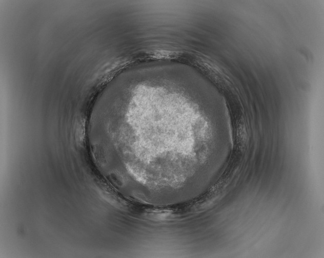 X0000113340554200910061000