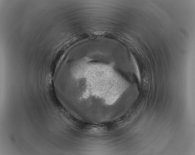 X0000113340555200910061000