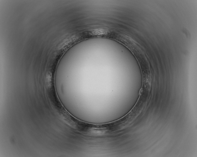 X0000113340556200910061000