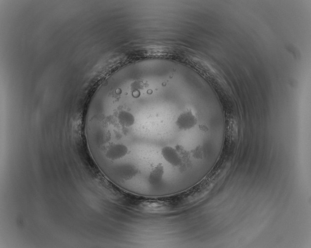 X0000113340557200910061000