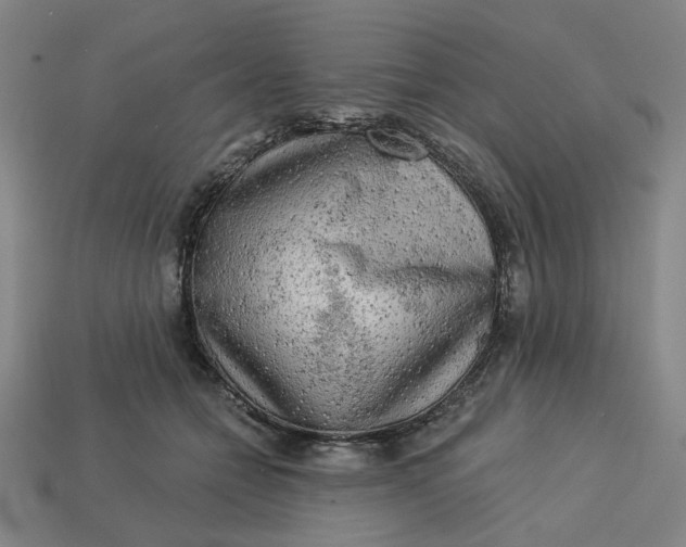 X0000113340558200910061000