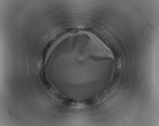 X0000113340559200910061000