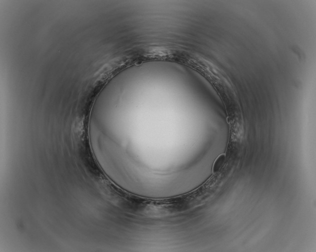 X0000113340560200910061000