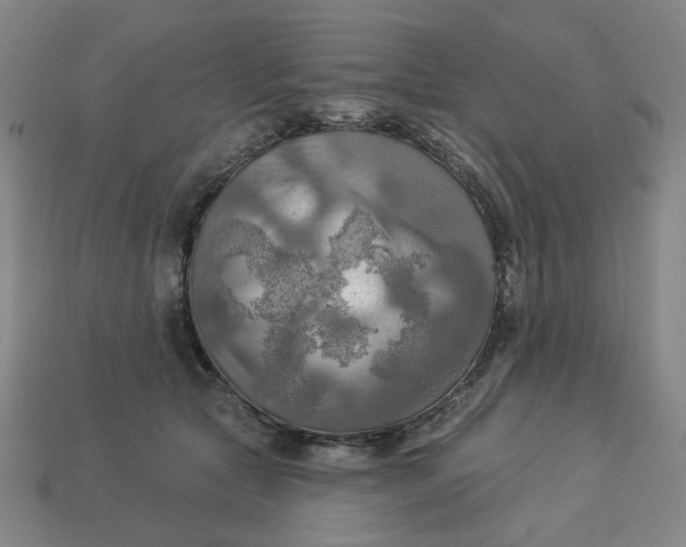 X0000113340561200910061000