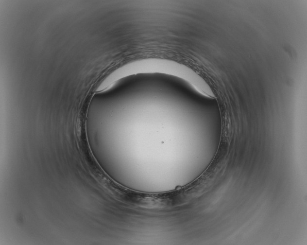 X0000113340562200910061000