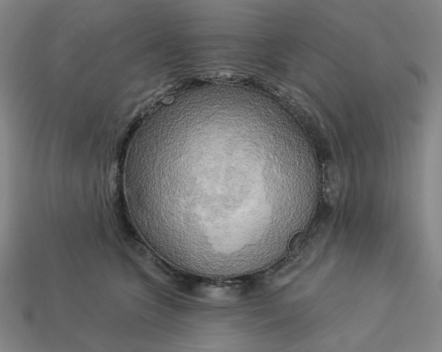 X0000113340563200910061000