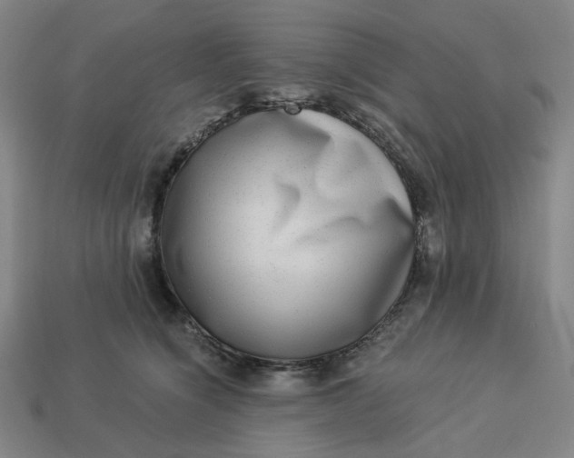 X0000113340564200910061000