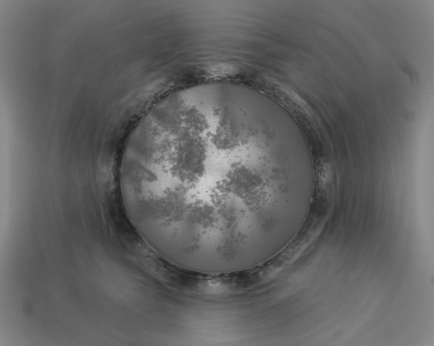 X0000113340565200910061000