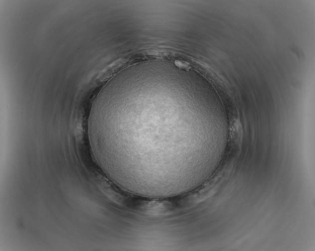 X0000113340566200910061000