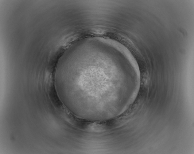 X0000113340568200910061000