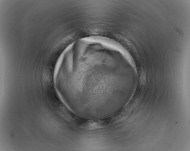 X0000113340569200910061000