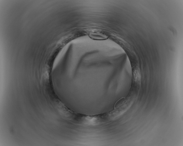 X0000113340570200910061000