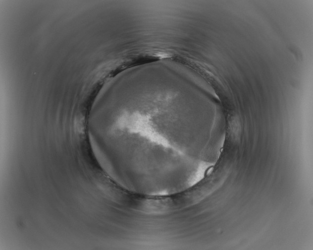 X0000113340571200910061000