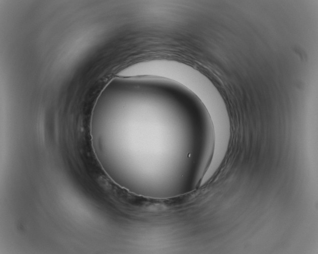 X0000113340572200910061000