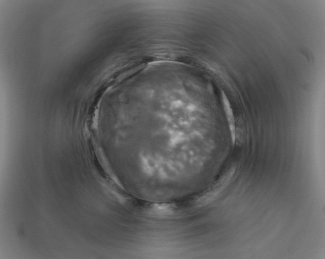 X0000113340573200910061000