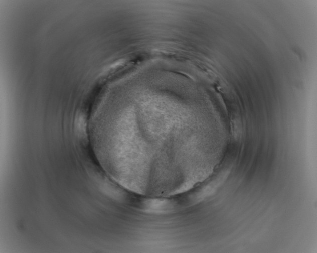 X0000113340575200910061000