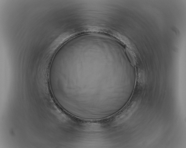 X0000113340577200910061000