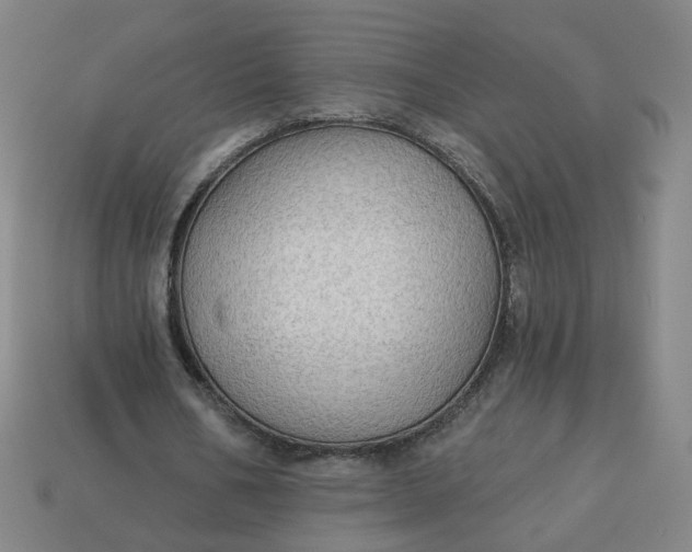 X0000113340578200910061000