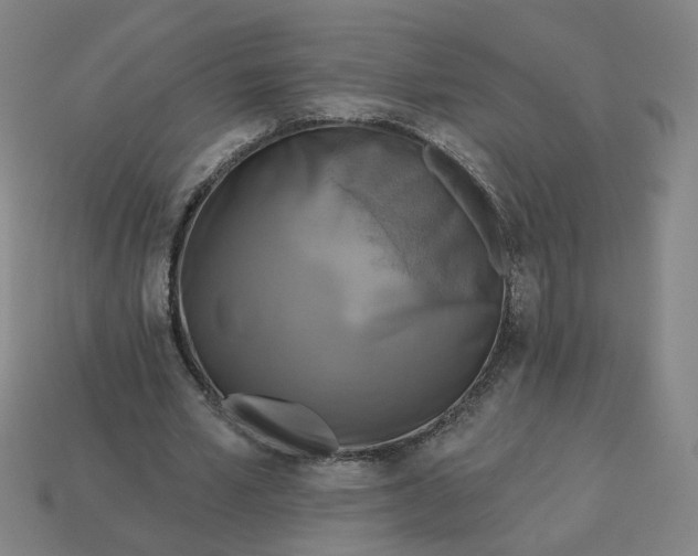 X0000113340581200910061000