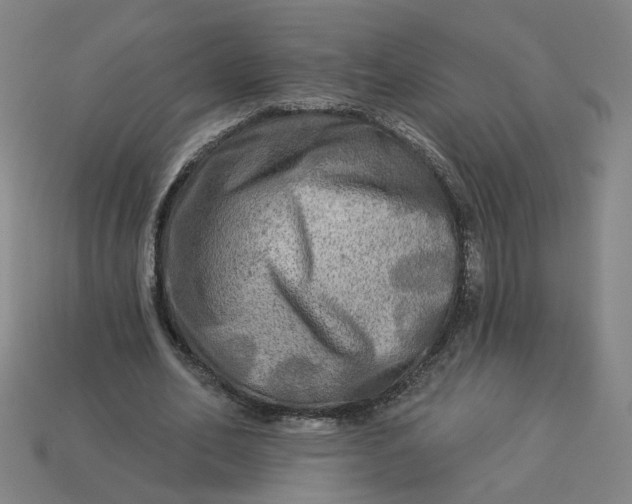 X0000113340582200910061000