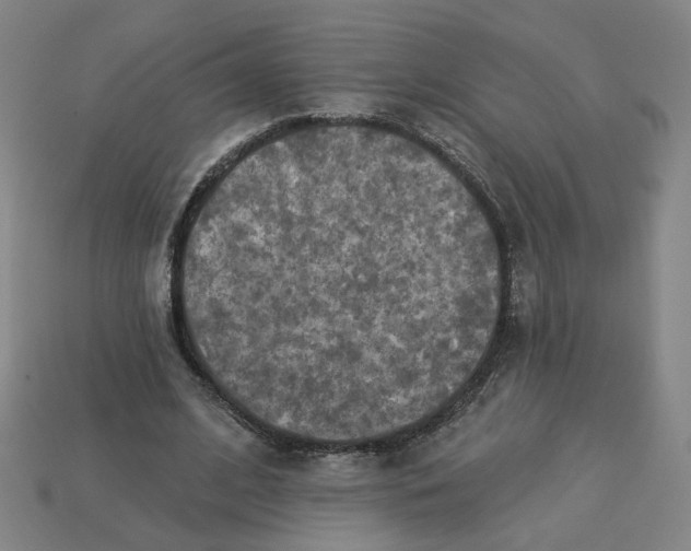 X0000113340584200910061000