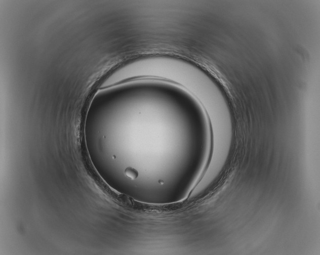 X0000113340585200910061000