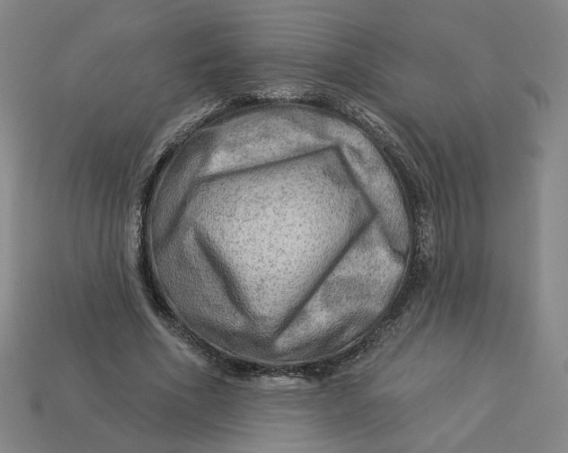 X0000113340586200910061000