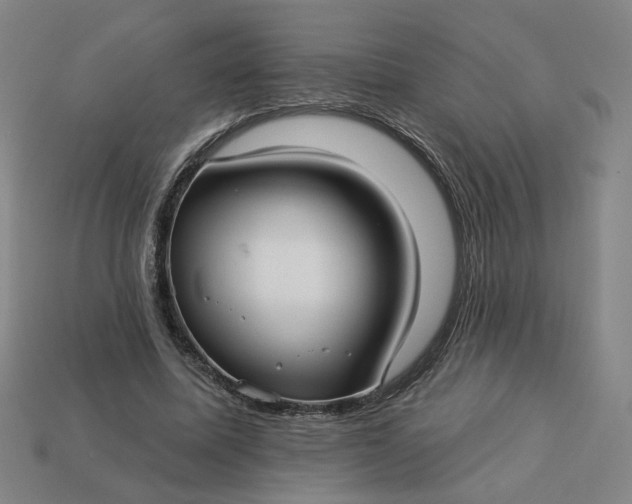 X0000113340587200910061000