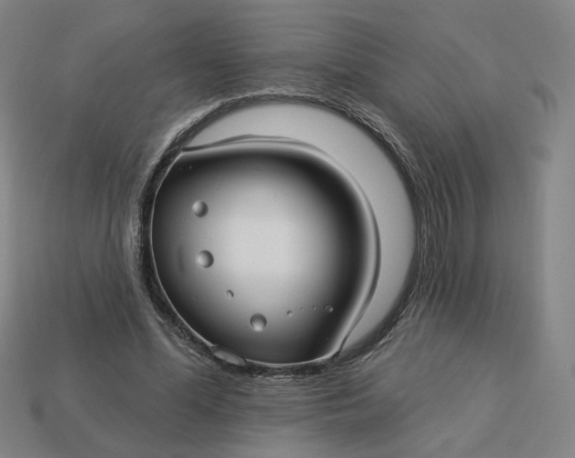 X0000113340588200910061000