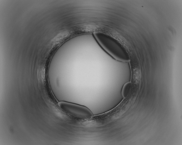 X0000113340589200910061000