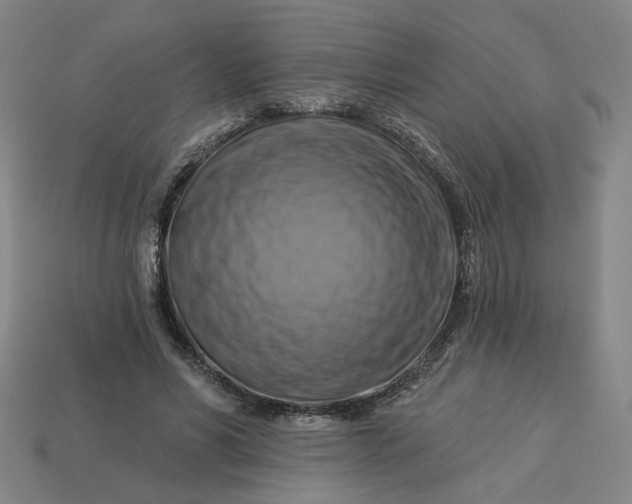 X0000113340590200910061000