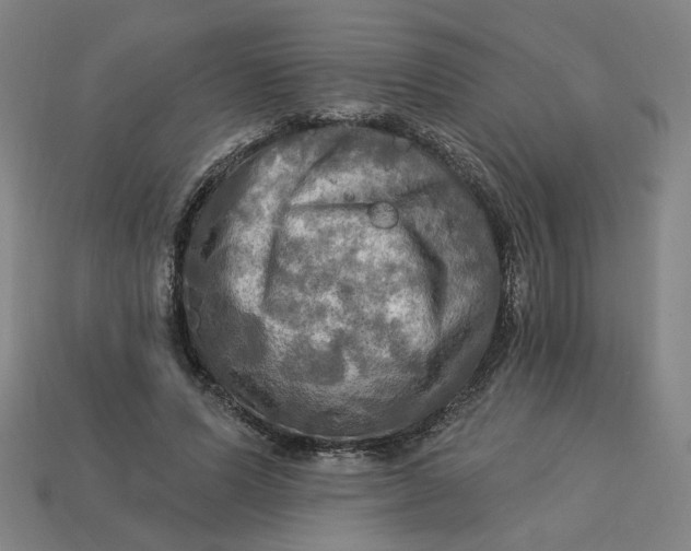 X0000113340591200910060959