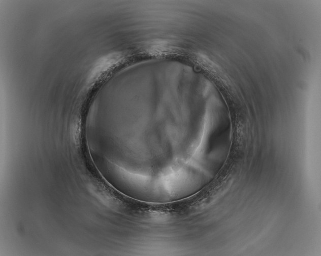 X0000113340592200910060959