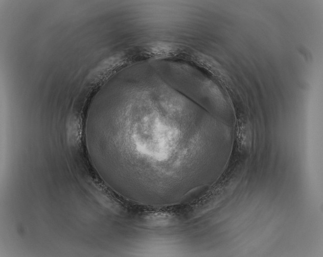 X0000113340593200910060959