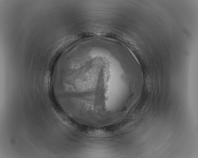 X0000113340594200910060959