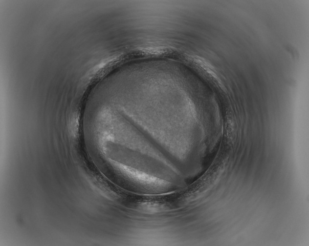 X0000113340596200910060959