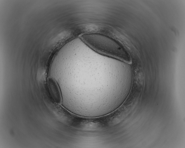 X0000113340597200910060959