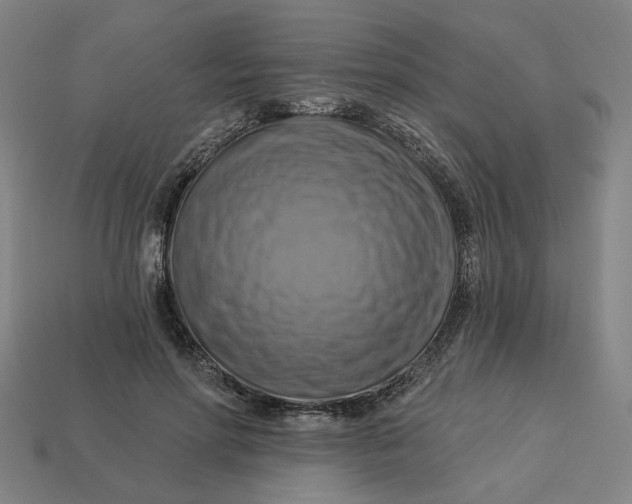 X0000113340598200910060959