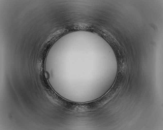 X0000113340599200910060959