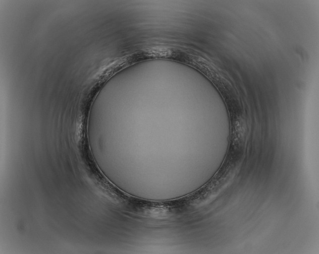 X0000113340600200910060959