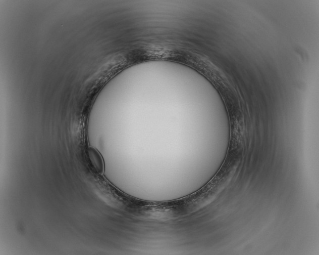 X0000113340601200910060959