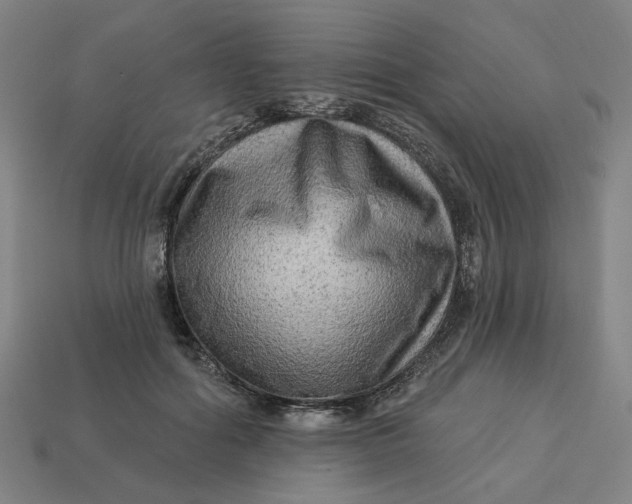 X0000113340602200910060959