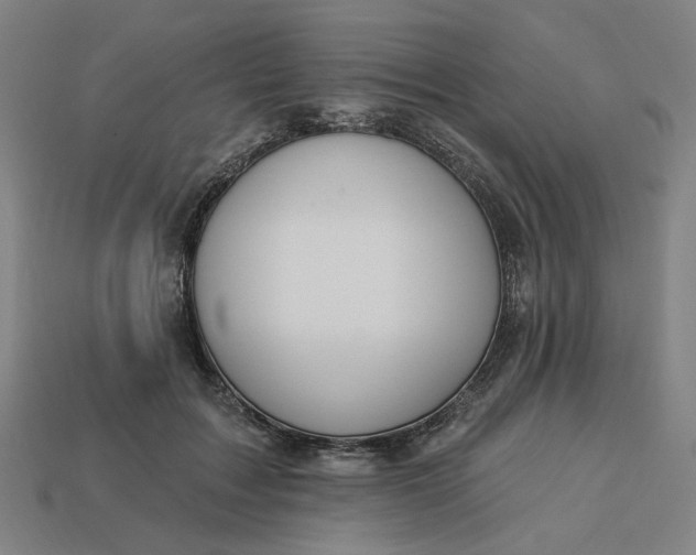 X0000113340603200910060959