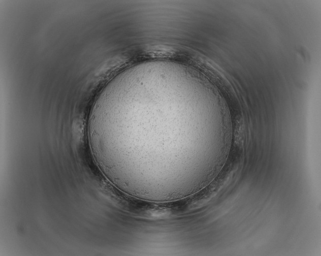 X0000113340604200910060959