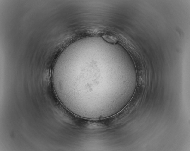 X0000113340605200910060959