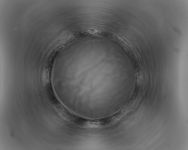 X0000113340606200910060959