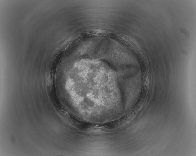 X0000113340607200910060959