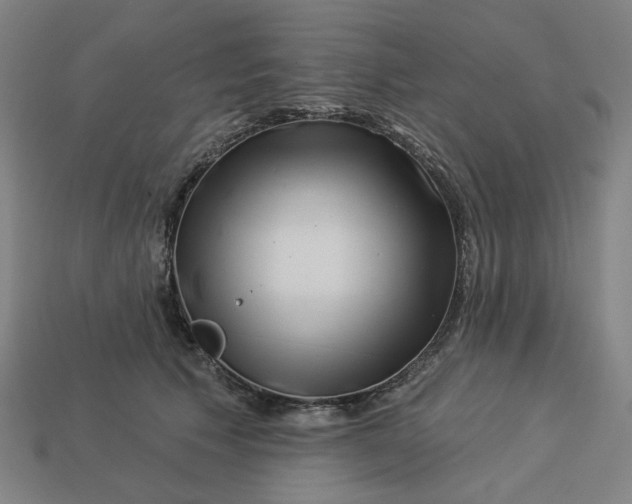 X0000113340609200910060959