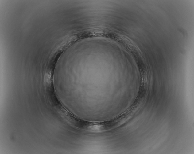 X0000113340610200910060959